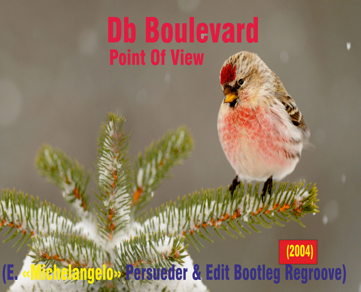 Db Boulevard - Point Of View (E. «Michelangelo» Persueder & Edit Bootleg  Regroove) | Dj Enzo Persueder