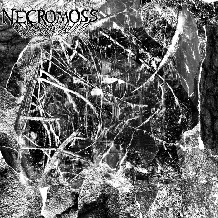Necromoss  - Necromoss album artwork