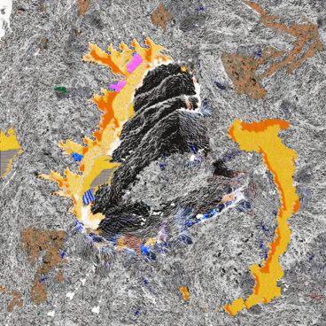 Head's Still Here main photo