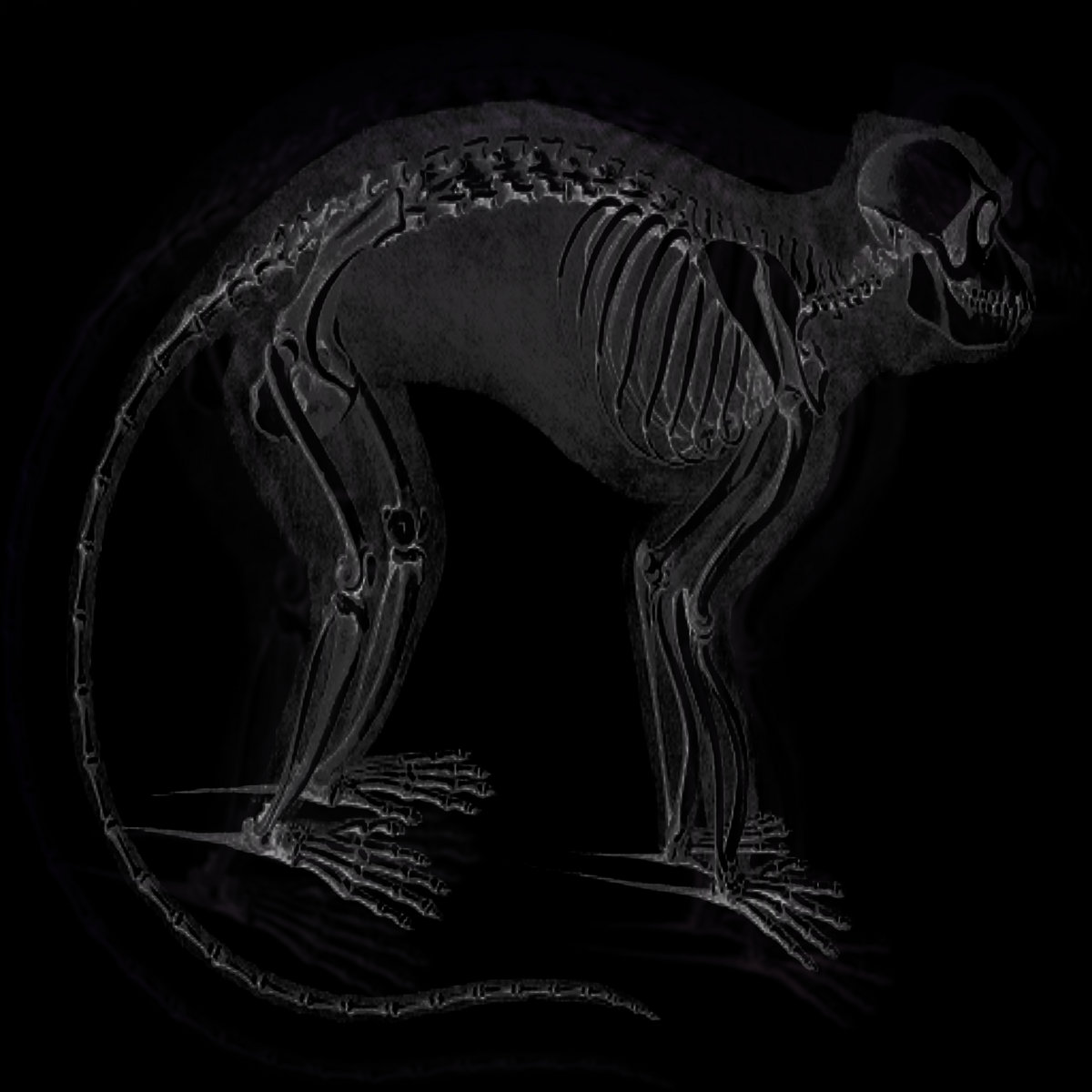 Si Vm E T Av Vm Otacilio Melgaco Duration 06 06 Otacilio Melgaco