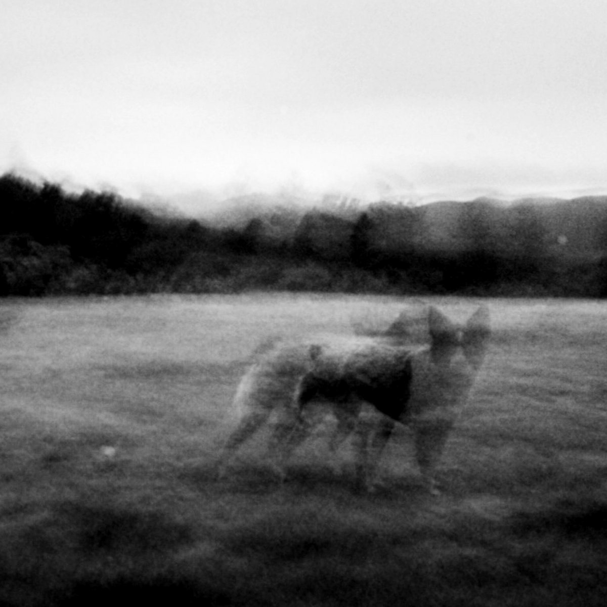 empty-space-ghrins