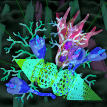 Garden of Astral Blooms cover art