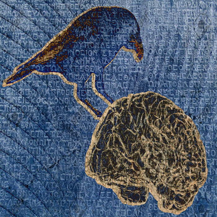 BIRD BRAIN | Jay Phatty