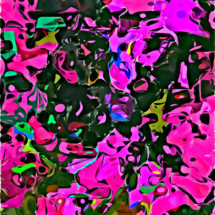 Defining Gravity For Beginners Wings Of An Angel Scott Lawlor