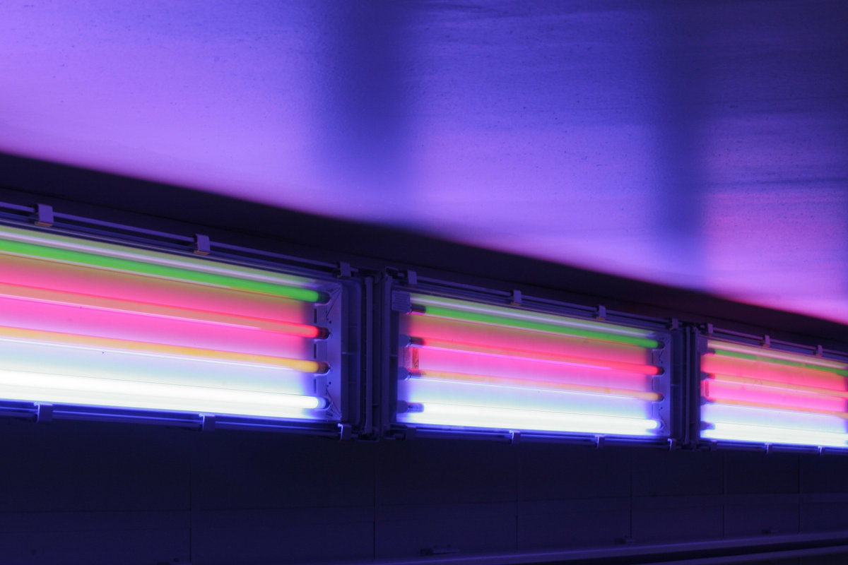 Turning Light Scanner