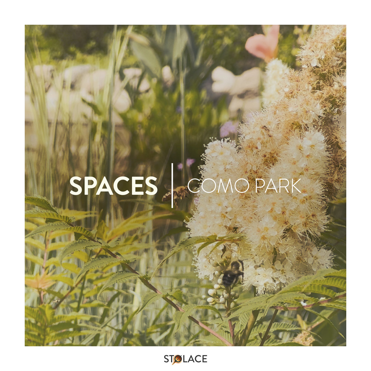 Stolace SPACES | Como Park | STOLACE