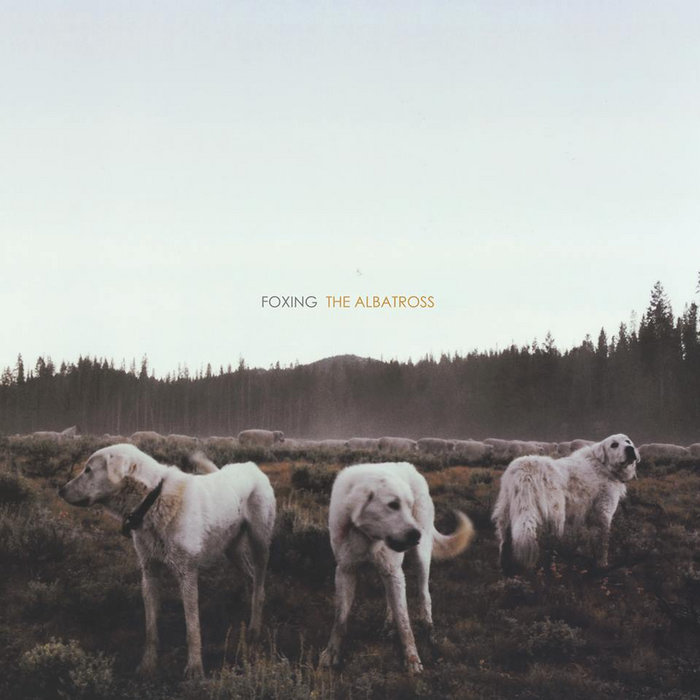 Lyric rory lyrics : Rory | Foxing