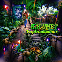 Triptroubadour cover art