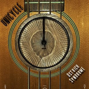 Unicycle cover