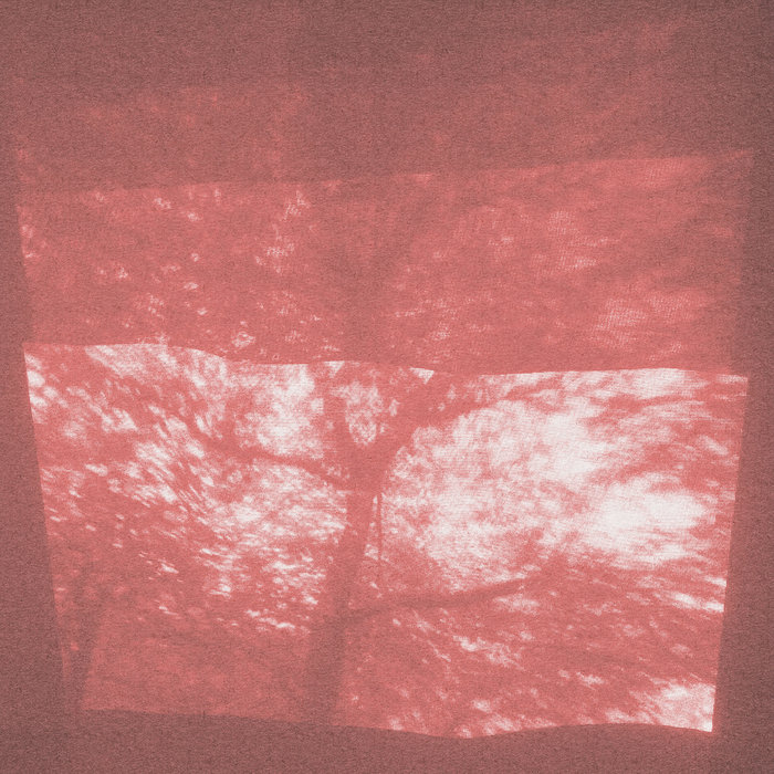 Stämma #8, by SHXCXCHCXSH