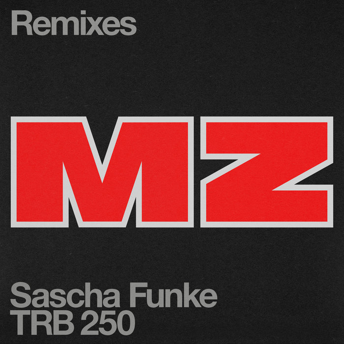 洋楽 DJ MR.FLESH REMIXES EP 洋楽 DJ MR.FLESH REMIXES EP Mr Flash