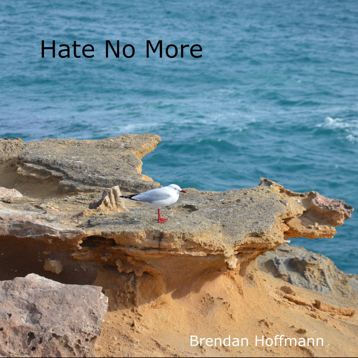 Hate No More | Brendan Hoffmann