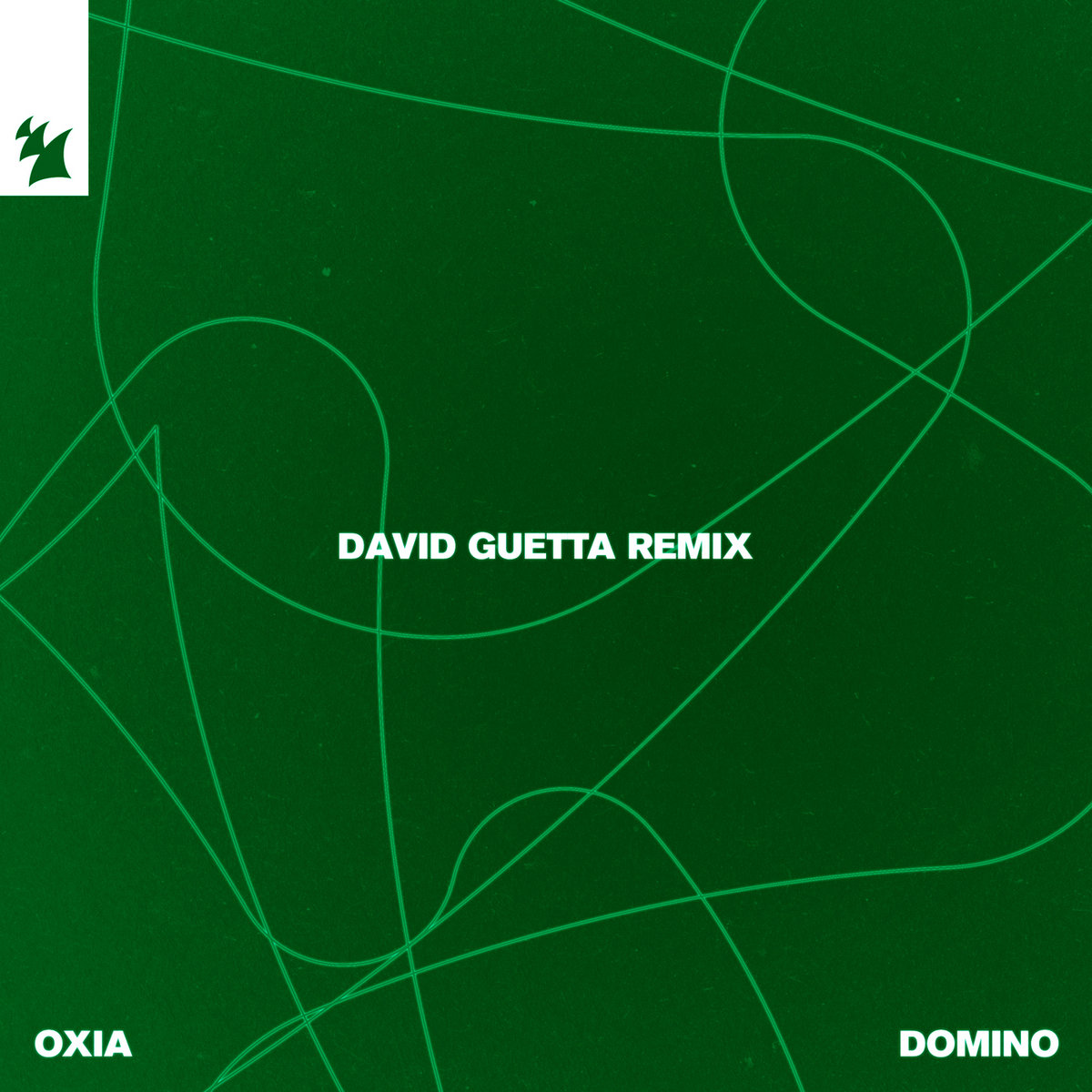 Domino (David Guetta Remix) | Oxia | Armada Music