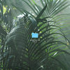auxtin marc. zip vol. 3