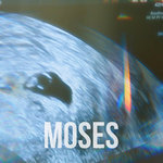 Michael J Tinker - Moses