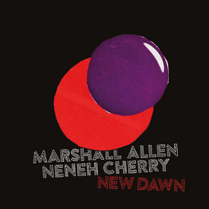 New Dawn feat. Neneh Cherry cover