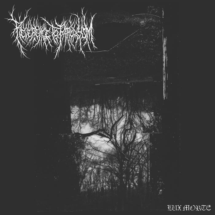 【rodrigo様用】IMMACULATE / Thrash, Kill 'n Thrash, Kill 'n' Deströy (Remastered) | Immaculate