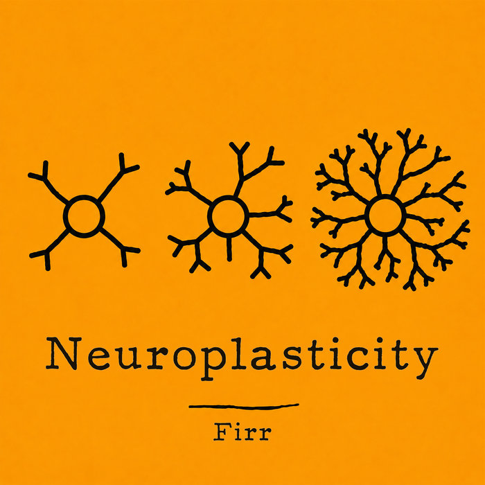 Neuroplasticity, by Firr