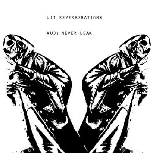 LIT REVERBERATIONS (AUDs NEVER LEAK) cover