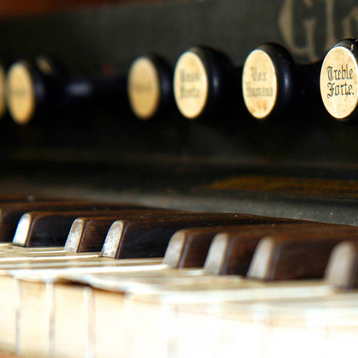 Guitar harmonium 2024