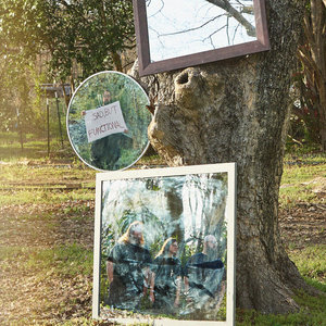 "Sad, But Functional" cover