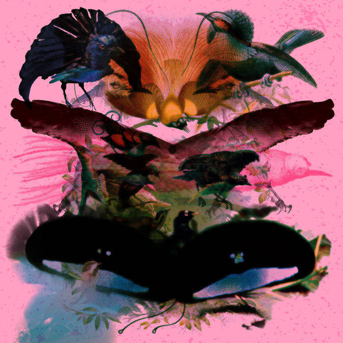アート・デザイン・音楽 portraits Danielle Weil portraits Danielle Weil