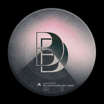 Rico Scott & Leigh Hunt — Nodes