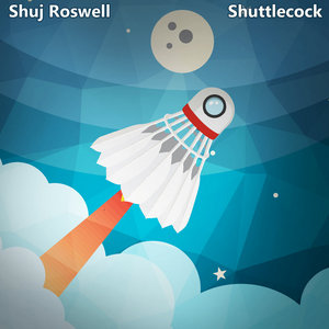Shuttlecock cover