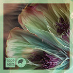 (Exclusively on Bandcamp) Augusto Yepes, Talón - Oxossi feat. Maite Inae