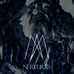 Nervures