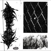 Snuff R37 | blednost.