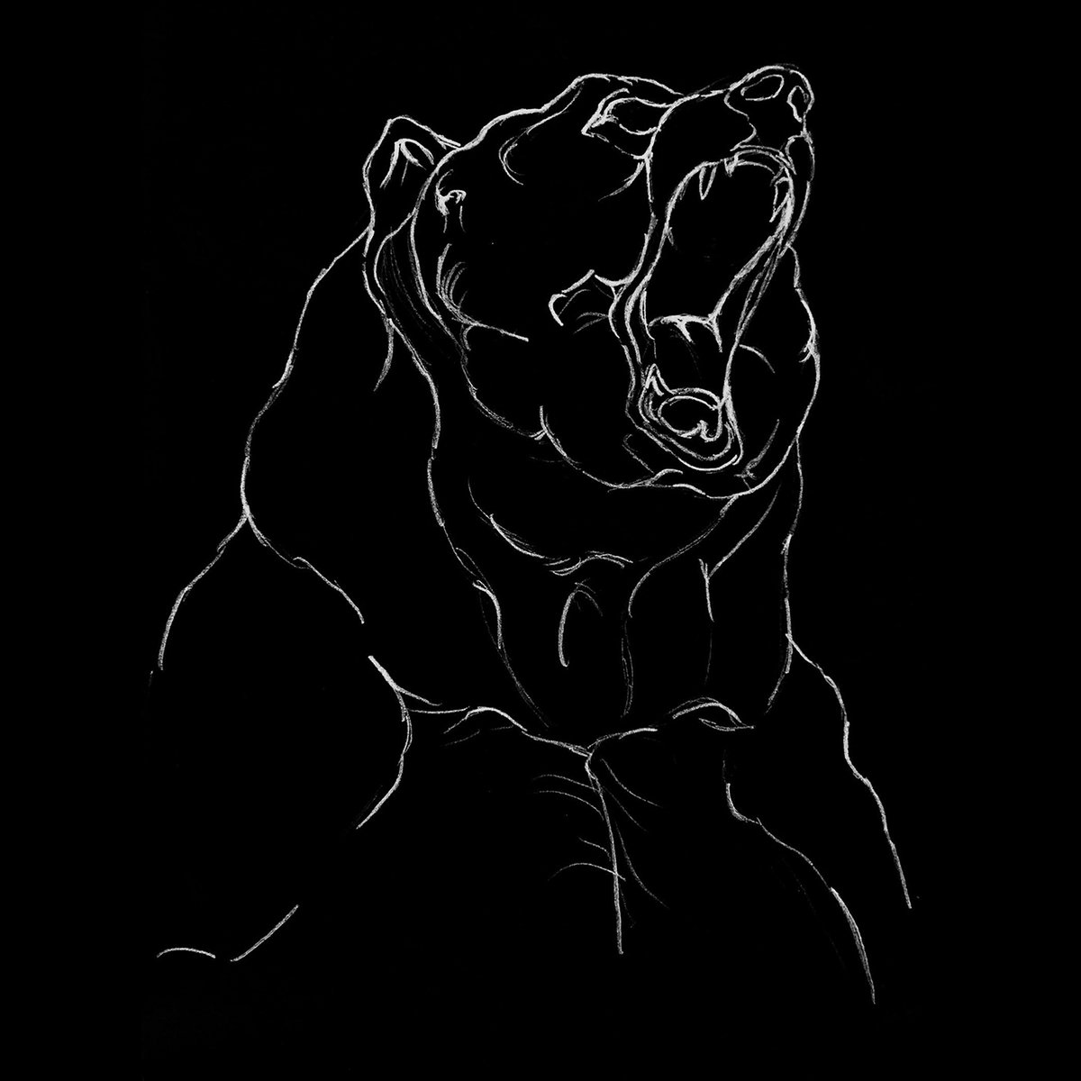 BearCloud – Meeting with a Bear