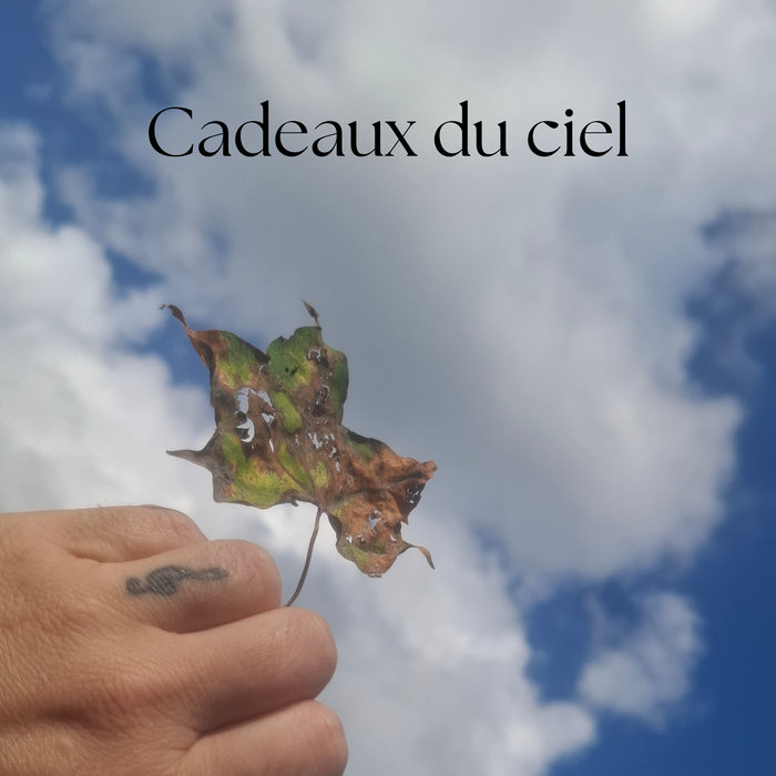 Pochette de Cadeaux du ciel par Death Milkshake