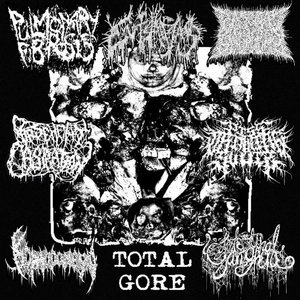 Total Gore Split cover