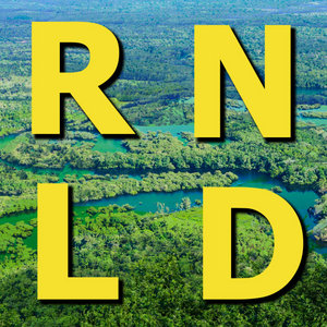 Ronald Newman Lonnie Donald cover