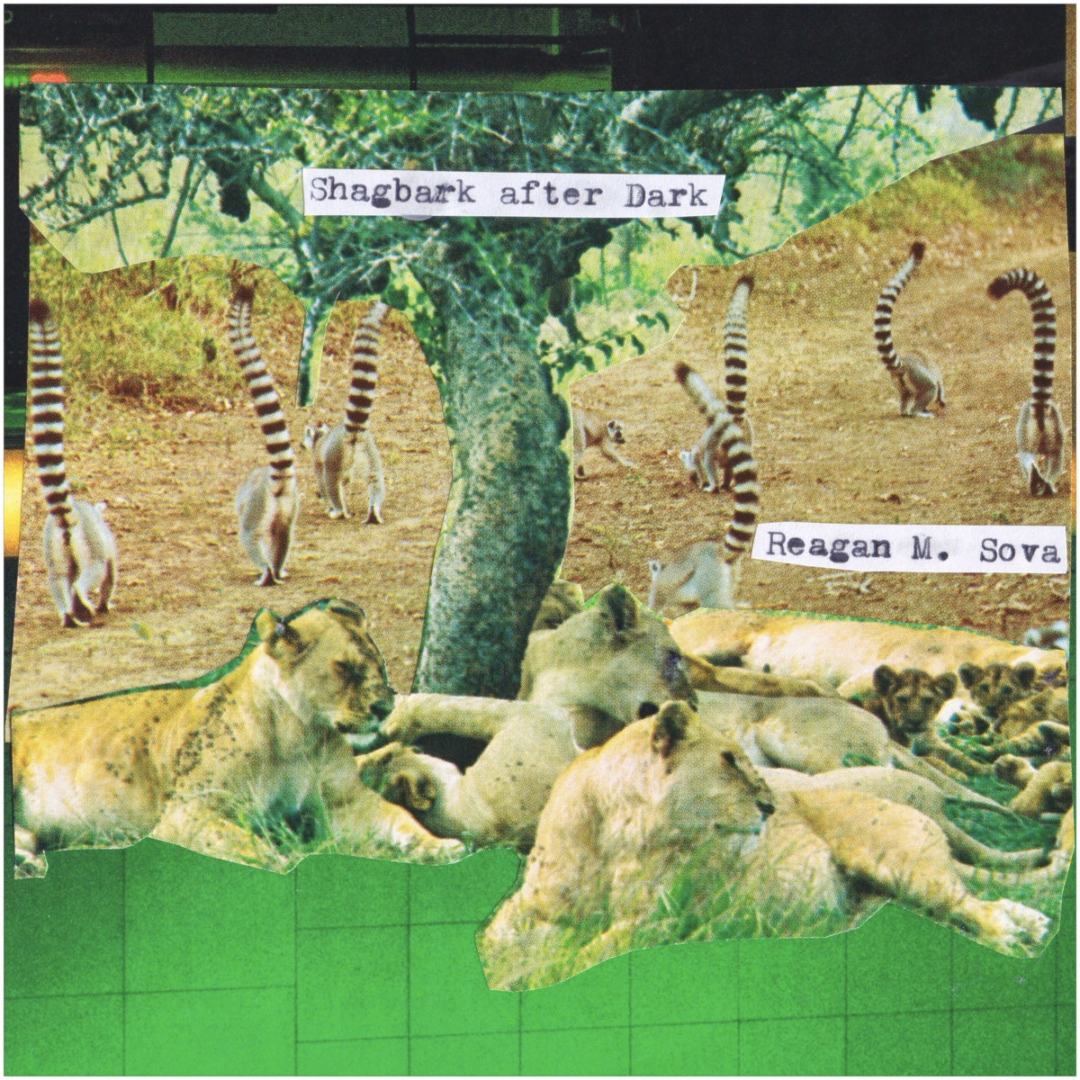 Falcons of the Bridge (featuring Tucker Zimmerman) | Reagan M. Sova