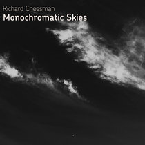 Monochromatic Skies cover art
