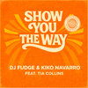 Dj Fudge — Show You The Way