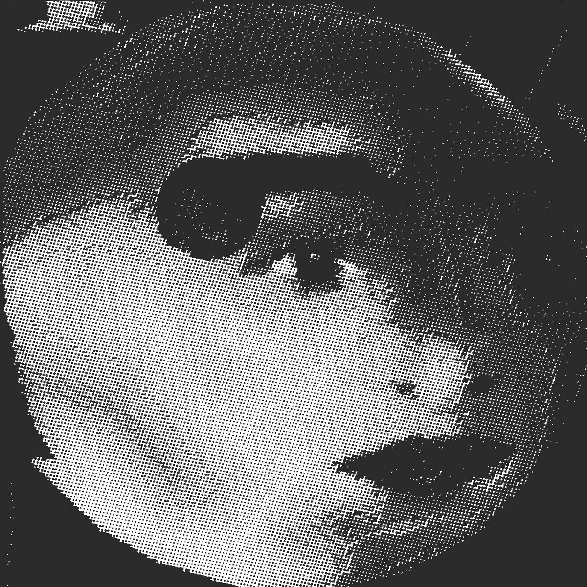 White Womb cover