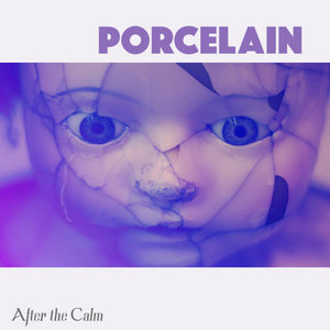Porcelain cover