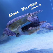 Sea Turtle cover art