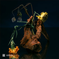 Various Artists — Curation 01: Oscar Mulero