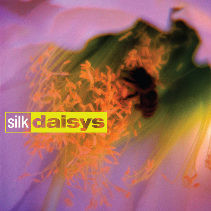 silk daisys | silk daisys