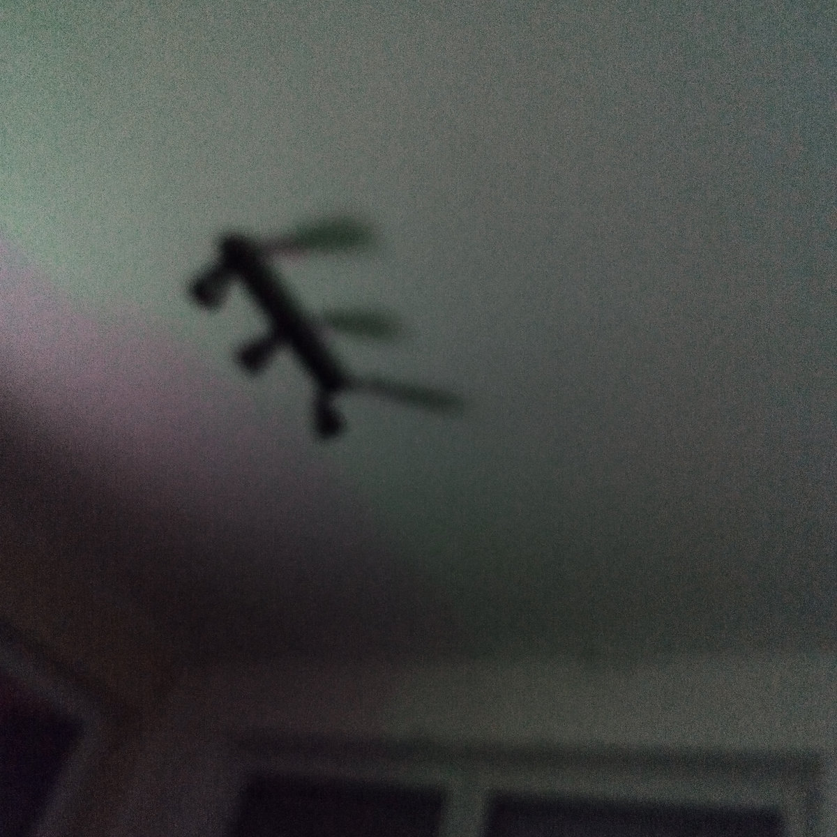 The Illusion of Progress in the US India Trade Deadlock