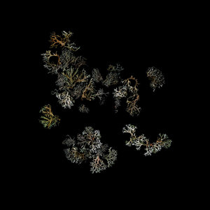 Return cover