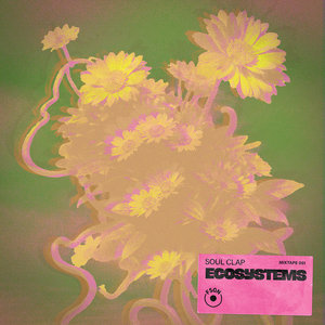 EcoSystems MixtapeSoul Clap, DJ E-Cology cover