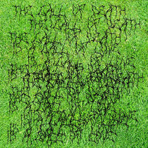 The Call of Death is a Call of Love cover art