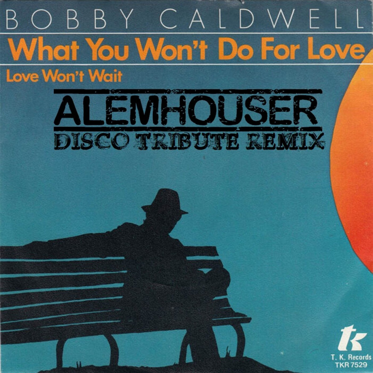 What You Won't Do For Love (AlemHouser Disco Tribute Remix