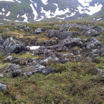 Agf/Delay - The Wire mix cover art