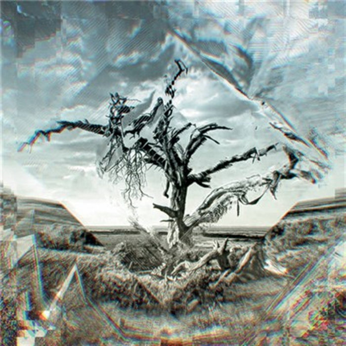 Cryptic Tree | The Mercury Tree
